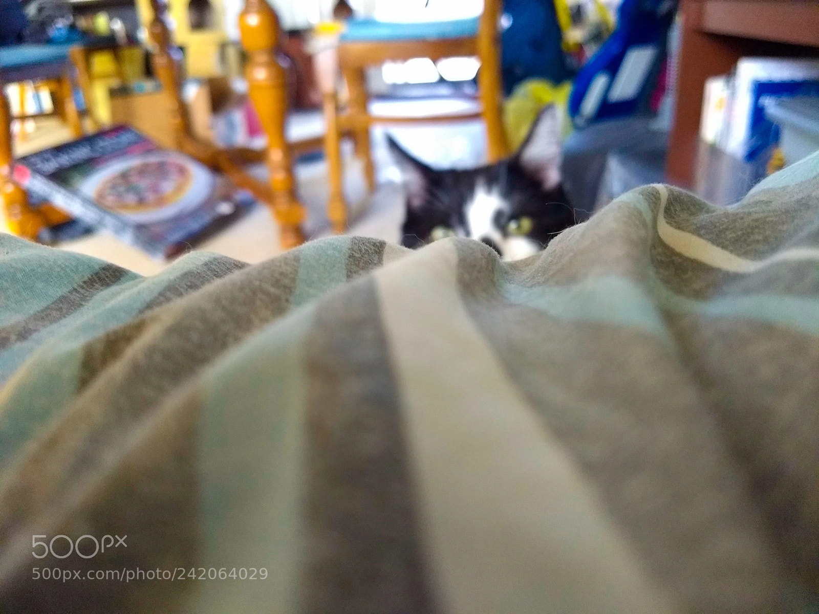 Motorola Moto G (5) Plus sample photo. Untitled photography