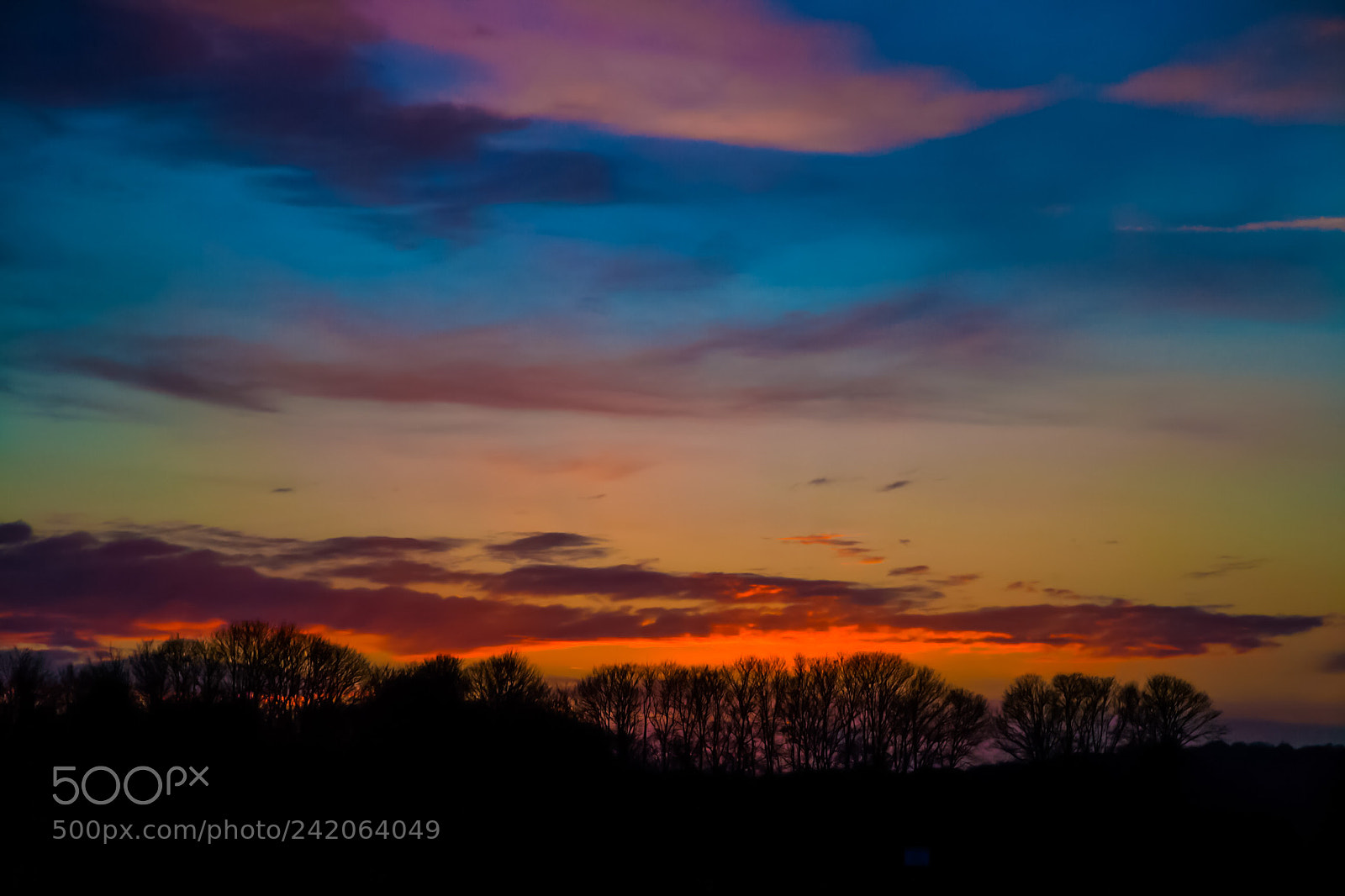 Canon EOS-1Ds Mark II sample photo. Evening mood photography