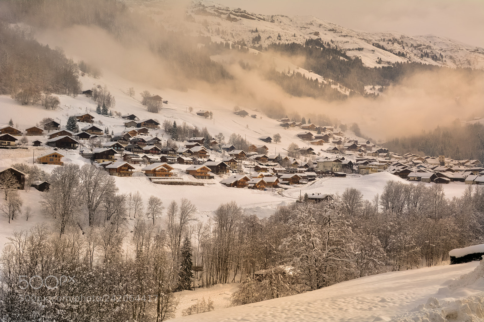 Nikon D7100 sample photo. Neige au matin photography