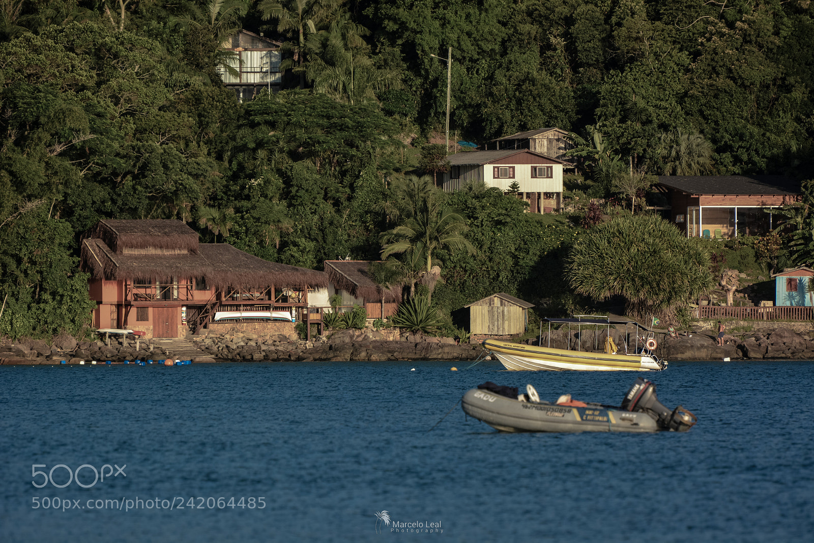 Nikon D7100 sample photo. Sea life - 6 photography