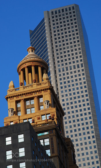 Nikon D60 sample photo. Td photography