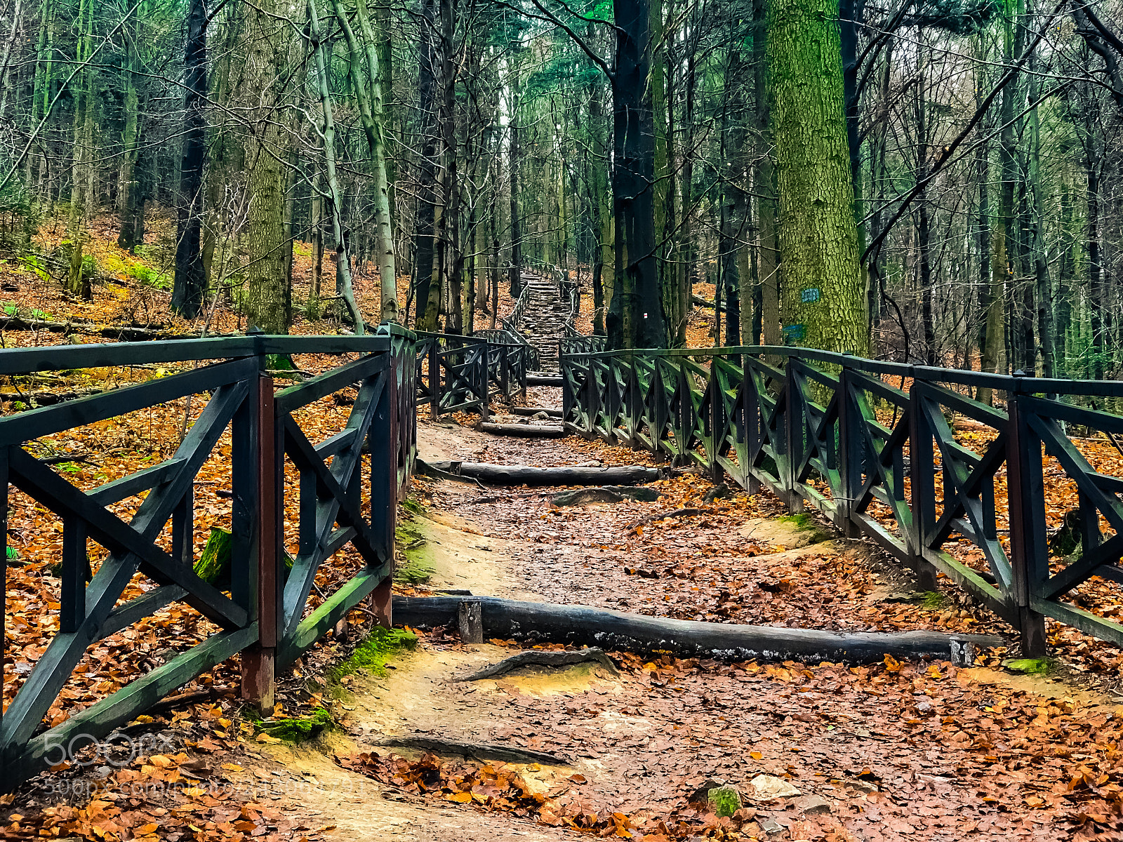 Apple iPhone 7 Plus sample photo. Stairs in the forest photography
