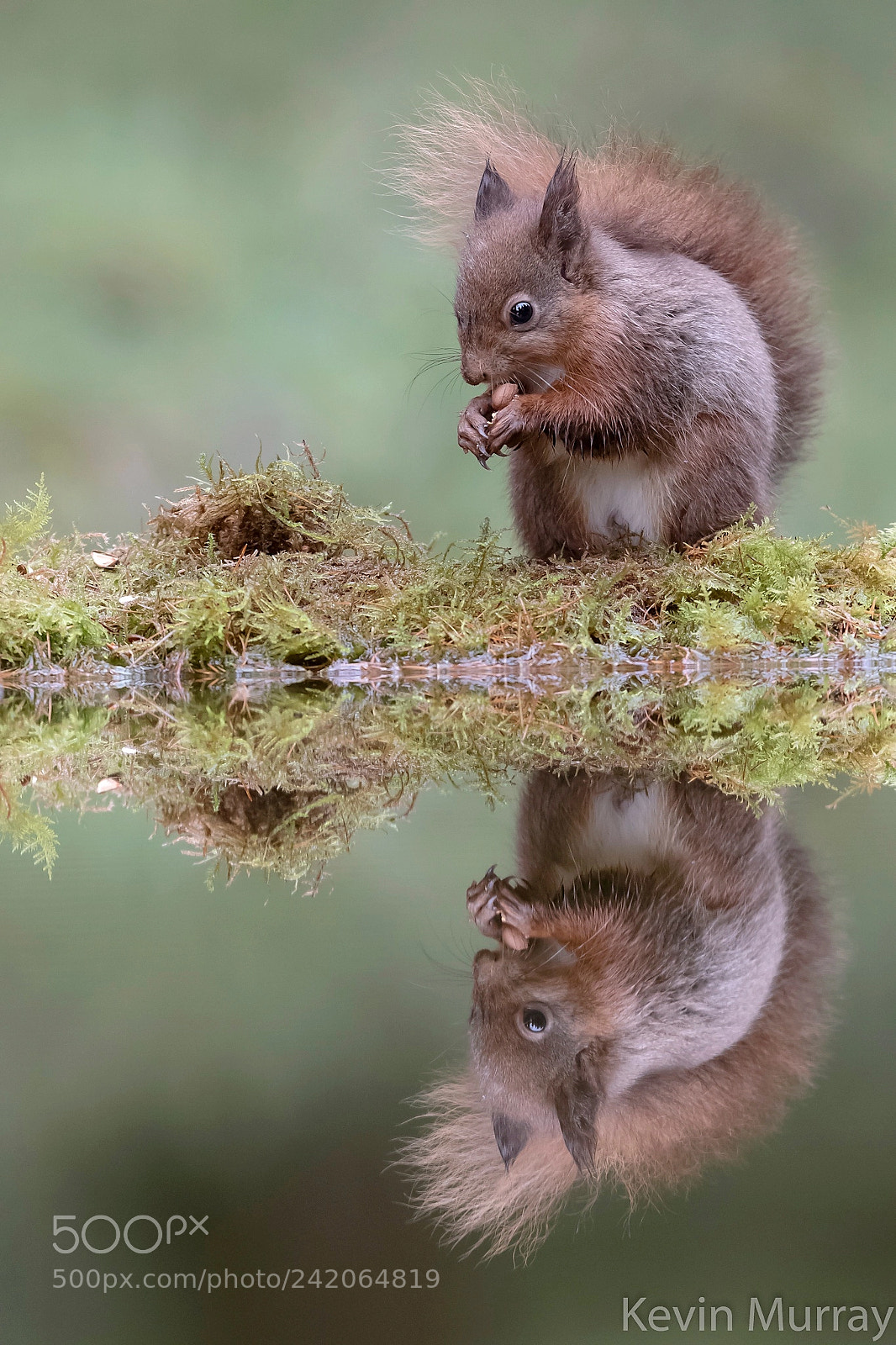 Canon EOS 7D Mark II sample photo. Reflections photography