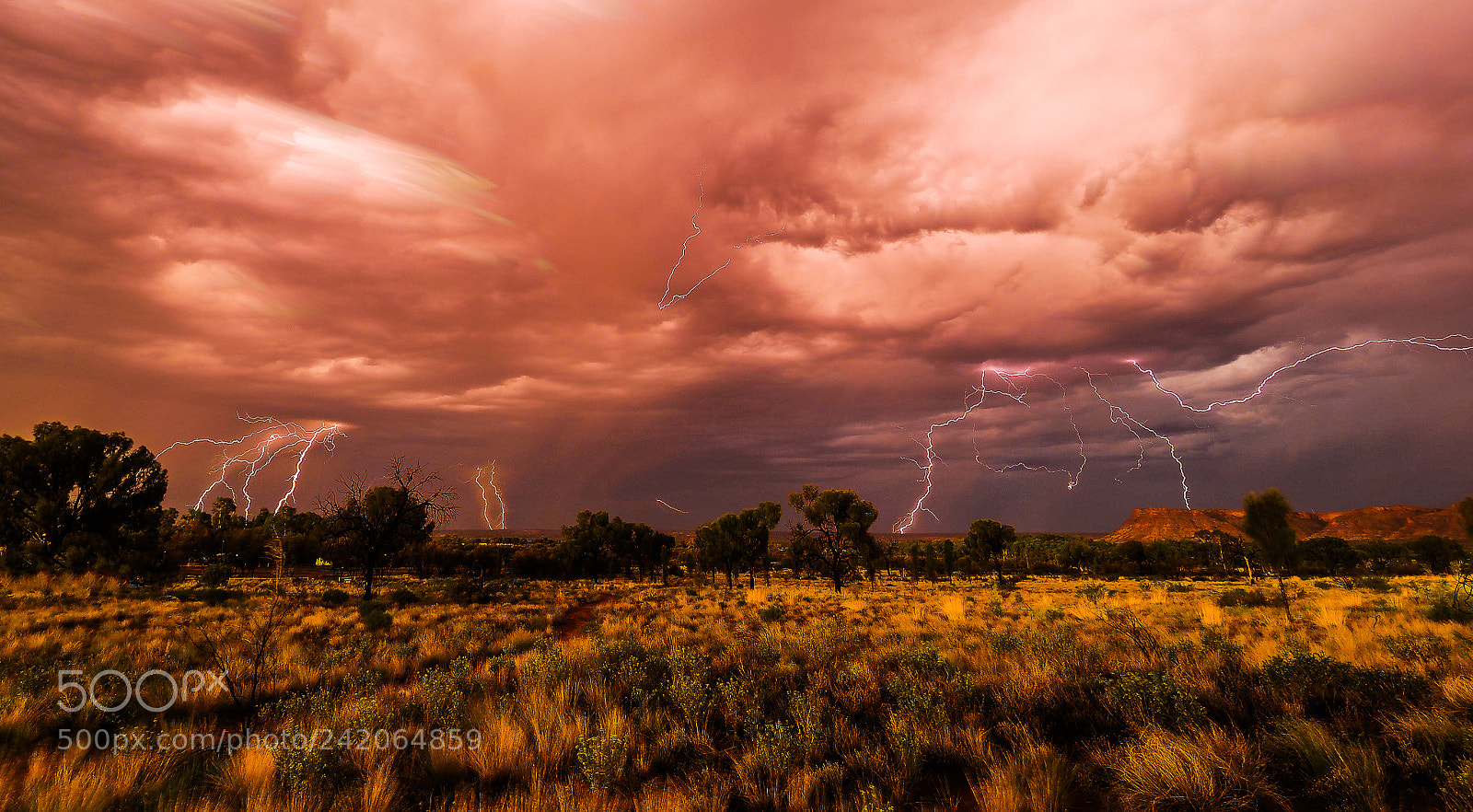 Olympus OM-D E-M1 Mark II sample photo. Kings storm photography