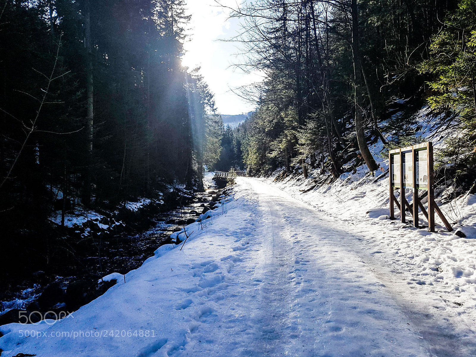 Samsung Galaxy S7 Edge sample photo. Zakopane / olczycka valley photography