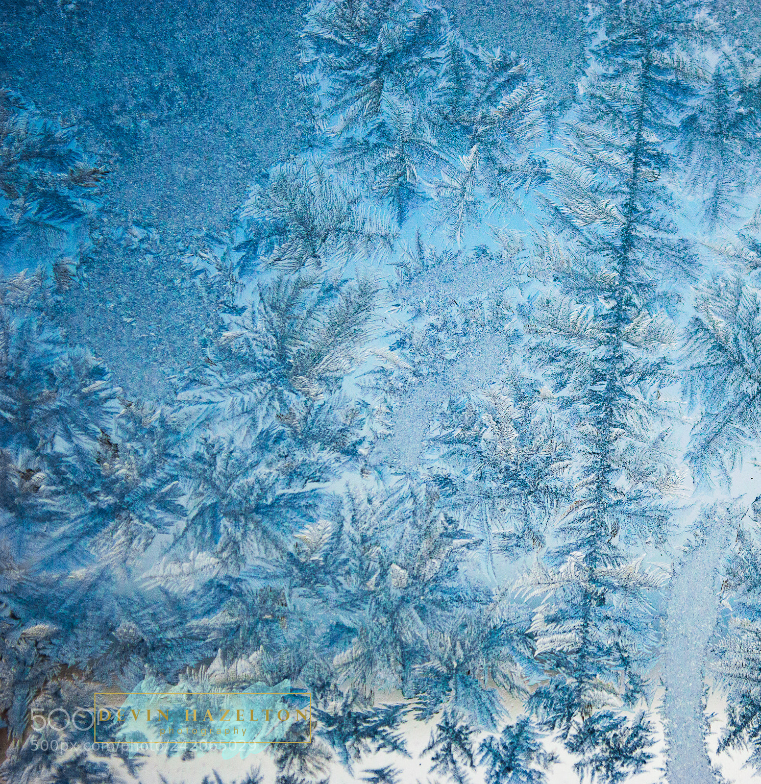 Nikon D3200 sample photo. Frost photography
