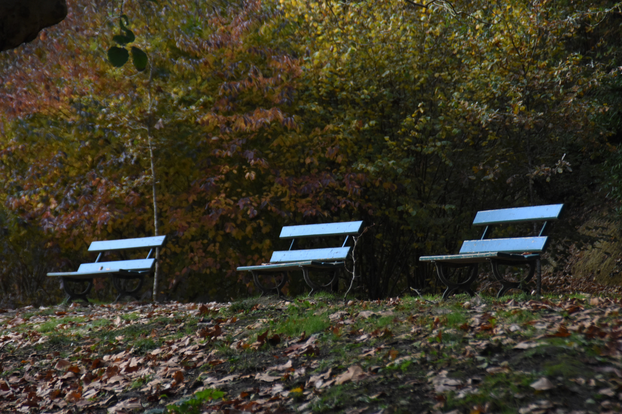 Nikon D7200 sample photo. Lac mouriscot photography