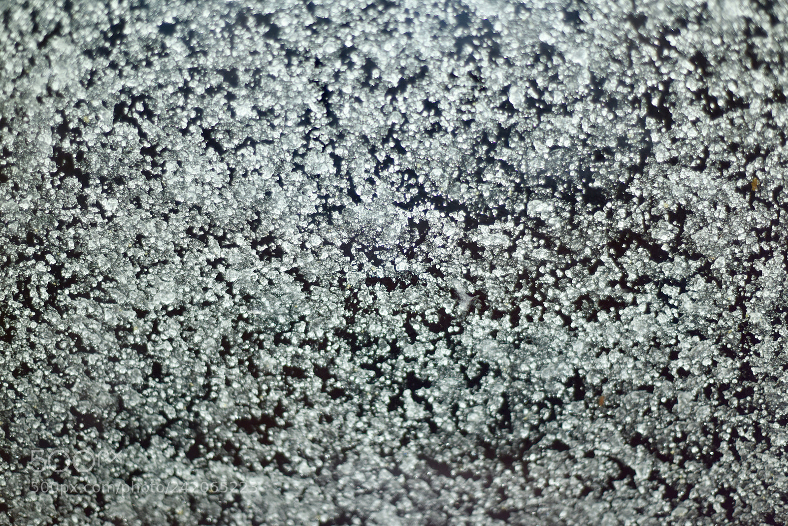 Nikon D810 sample photo. Snow on my window photography