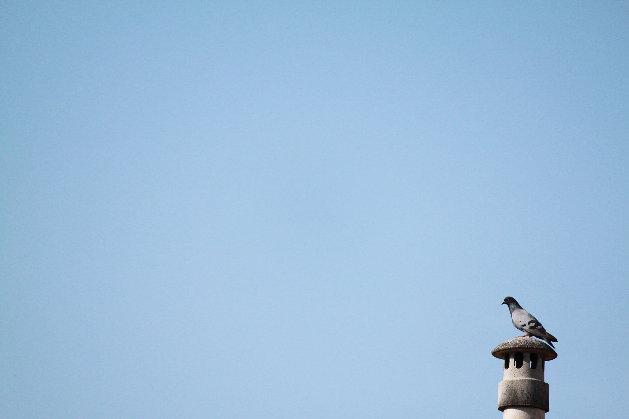 Canon EF-S 55-250mm F4-5.6 IS sample photo
