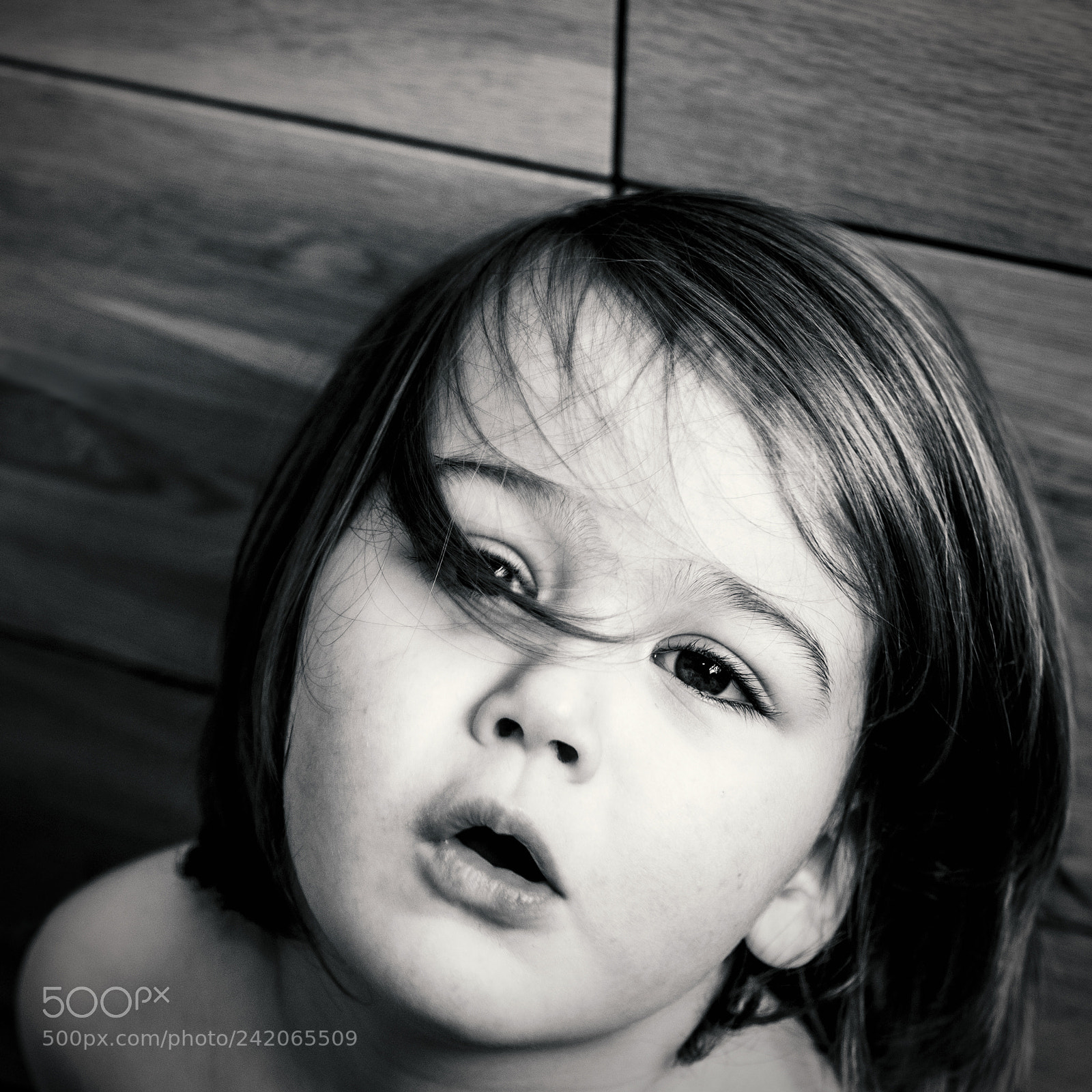 Fujifilm X-T2 sample photo. Finn photography