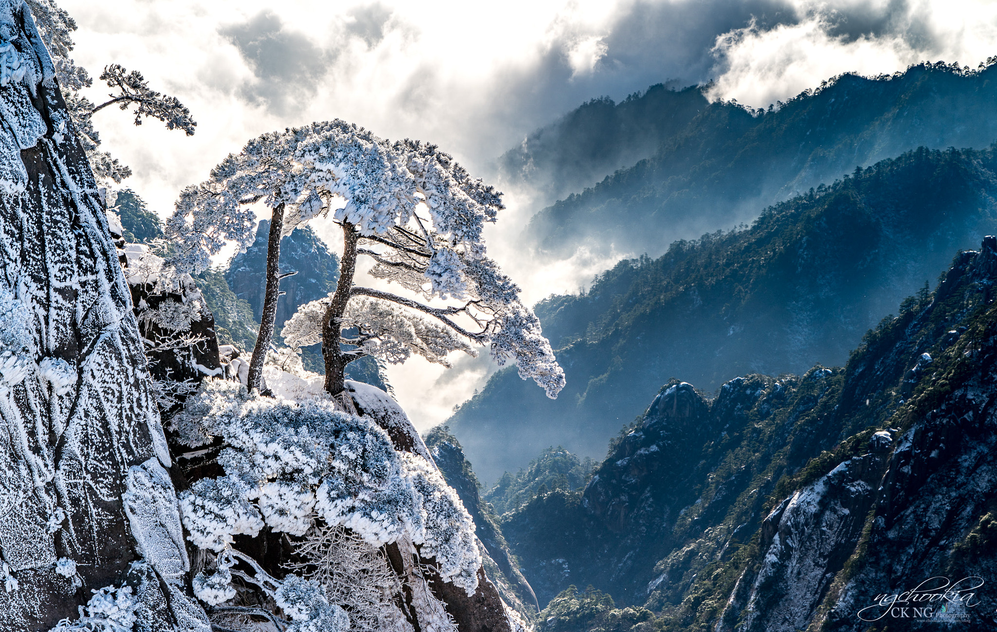 迎客松 The Welcoming Pine is greeting us II 黄山