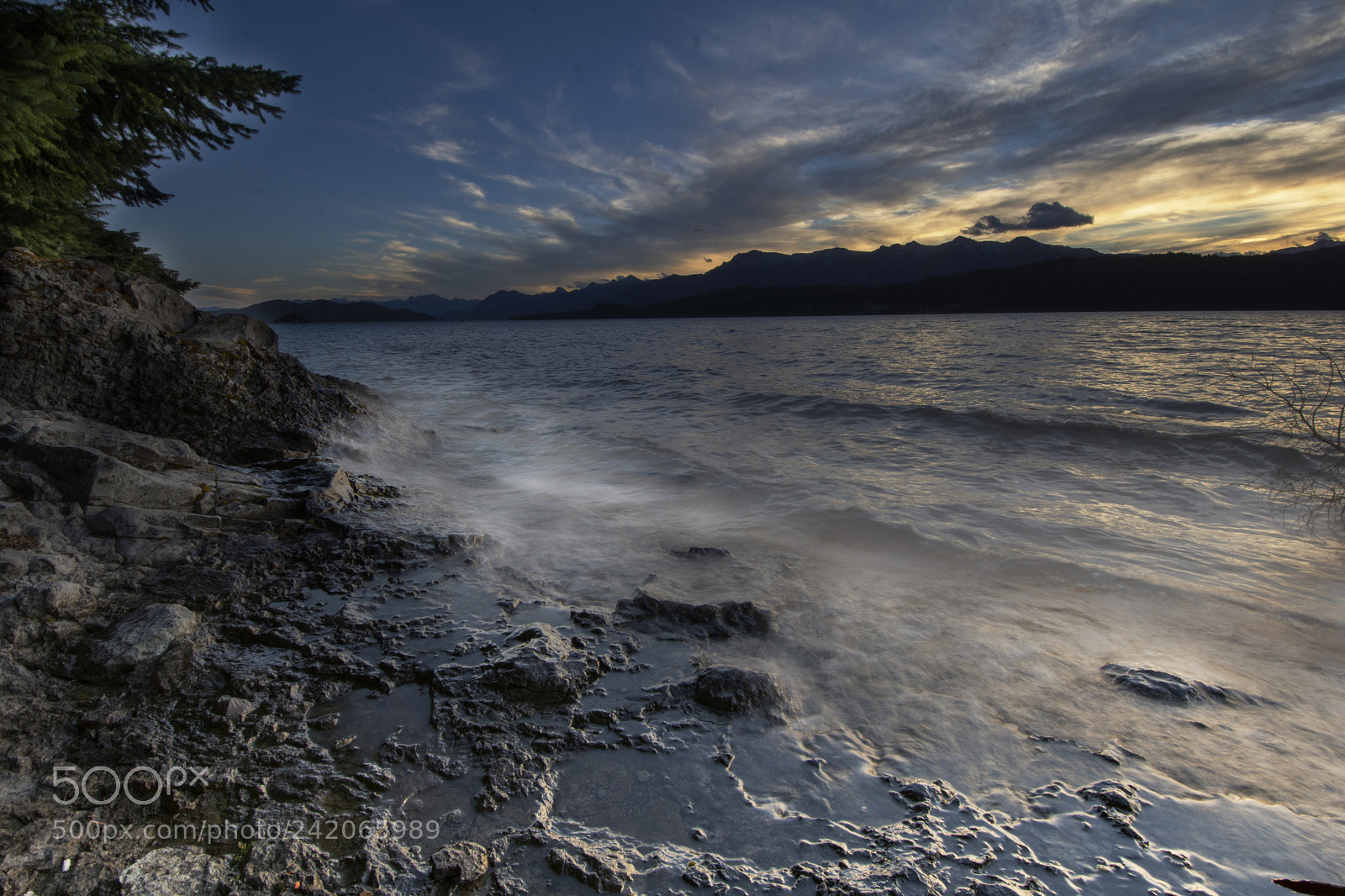 Nikon D7200 sample photo. Vla photography