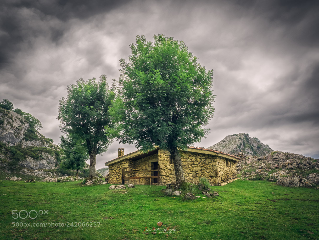 Olympus OM-D E-M1 sample photo. Resguardado photography