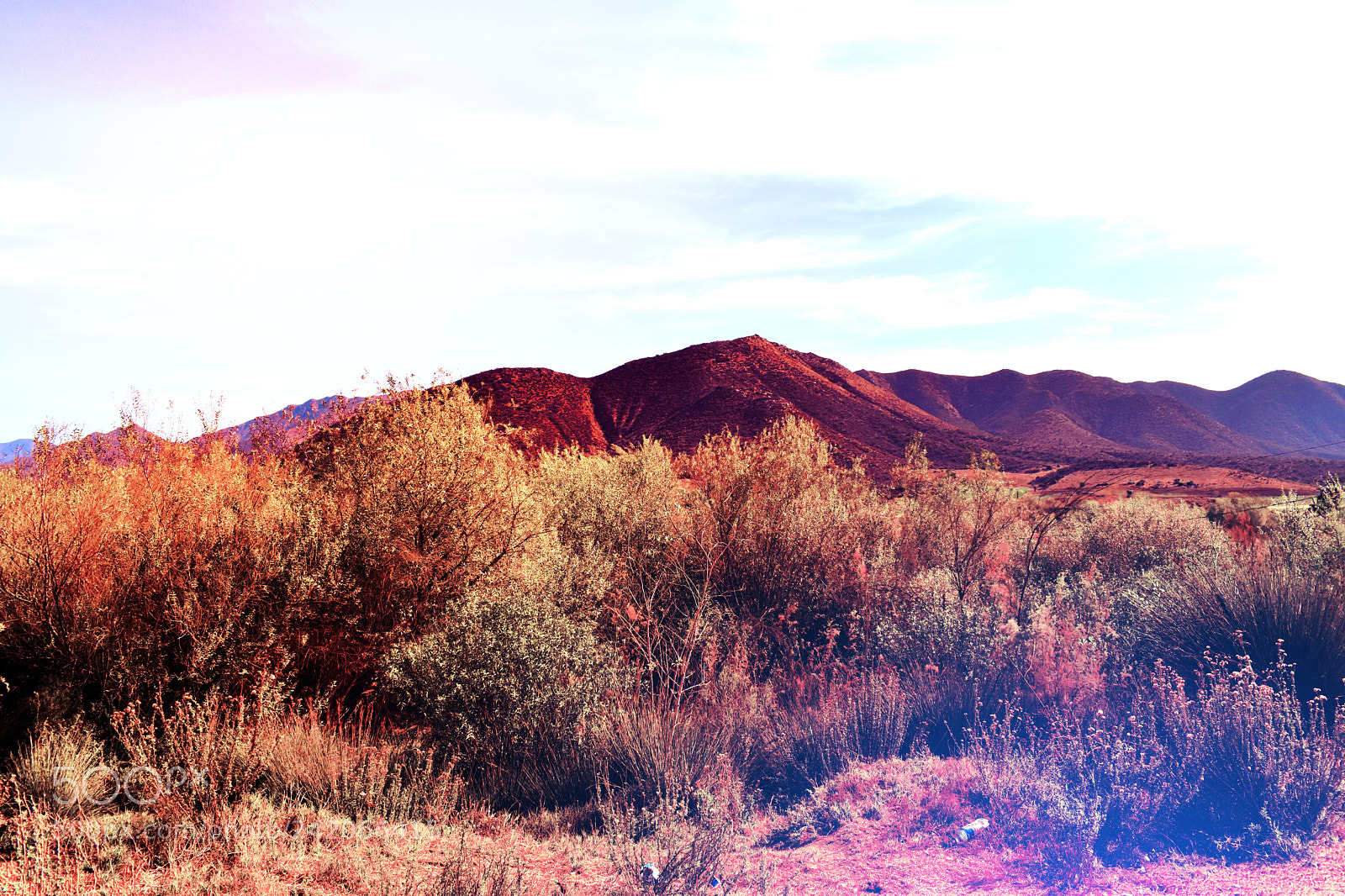 Nikon D5500 sample photo. Baja california photography