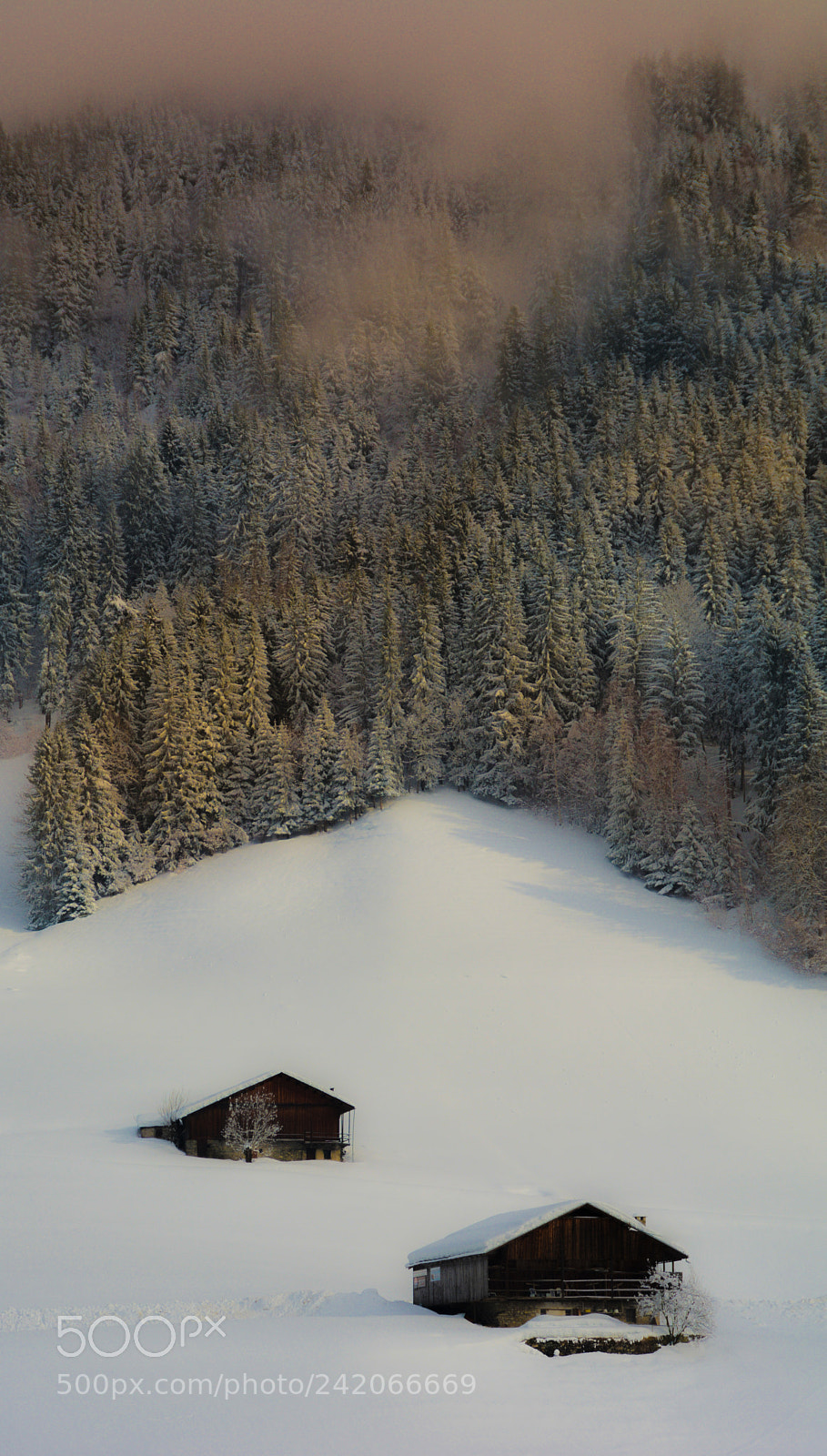 Nikon D7100 sample photo. Duo photography
