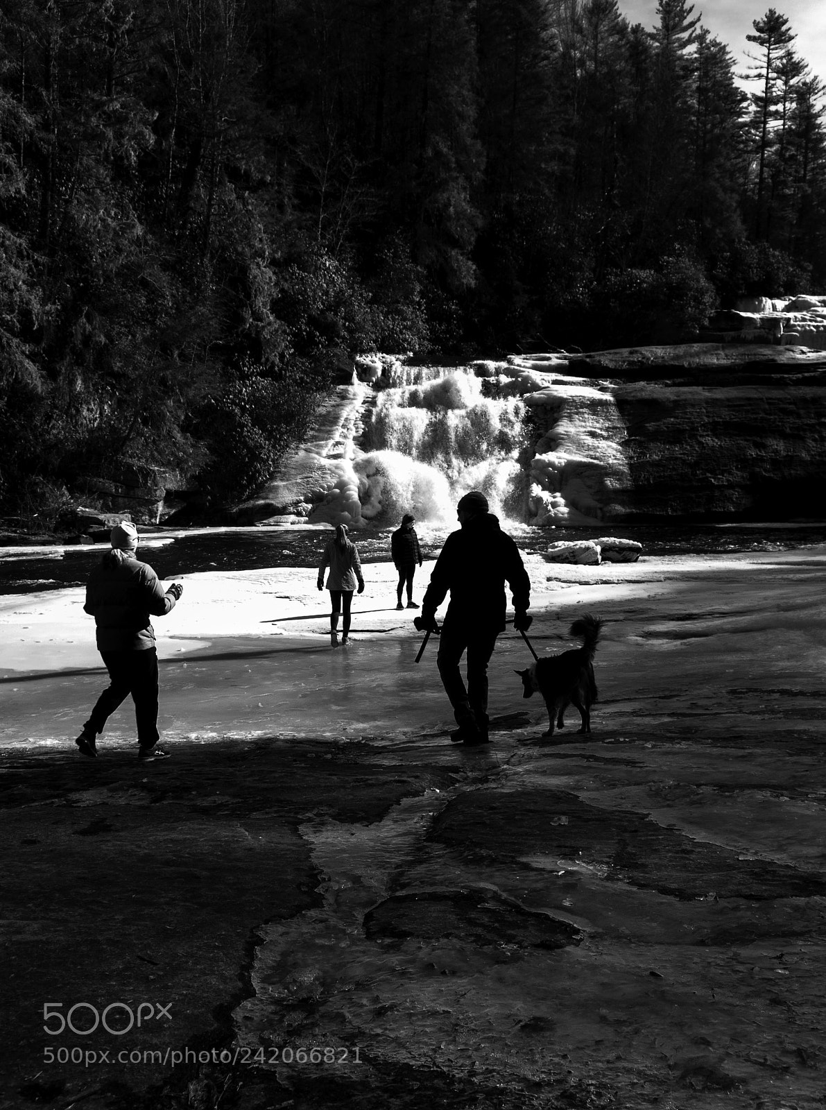 Nikon D5000 sample photo. Out on ice photography