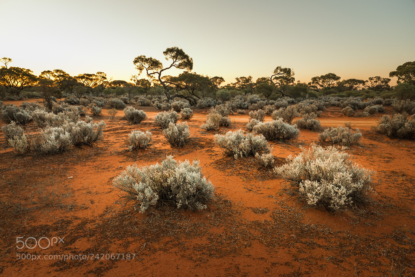 Nikon D800 sample photo. South australian outback landscape photography
