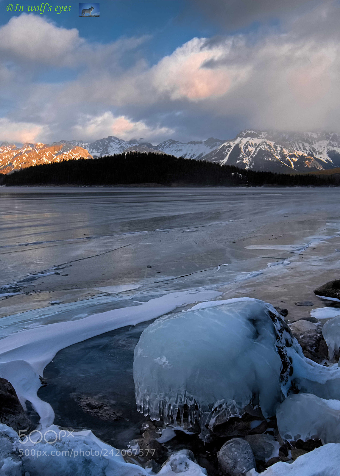 Nikon D500 sample photo. Iced lake, canada photography