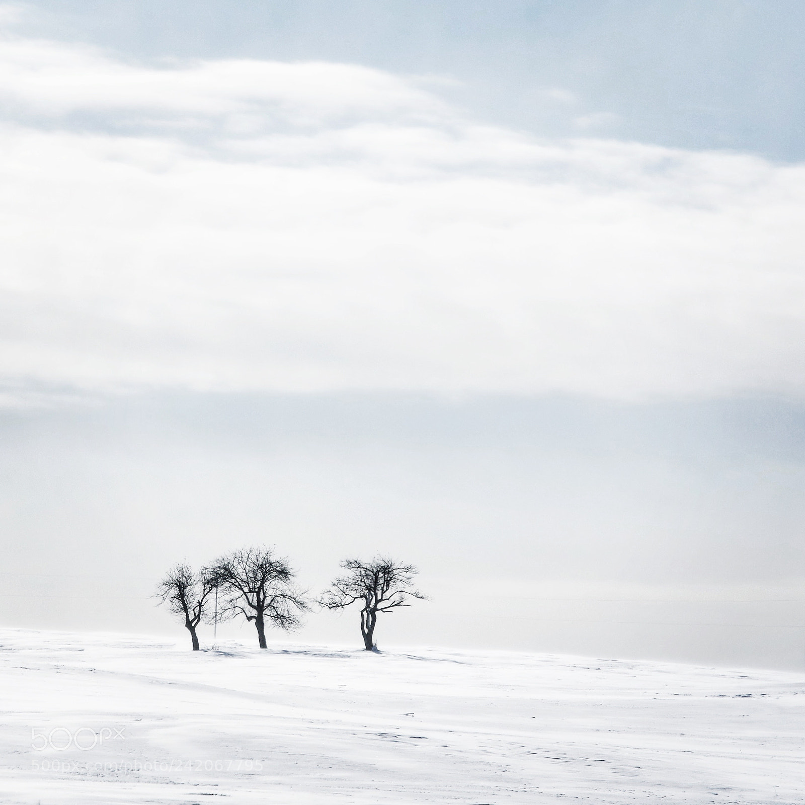 Pentax K-3 II sample photo. Trio photography