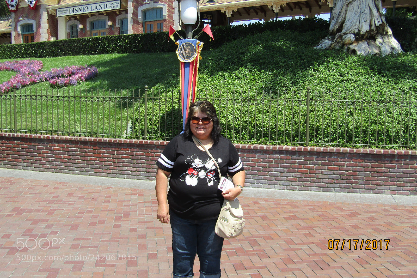 Canon PowerShot SX410 IS sample photo. We went to disneyland () photography