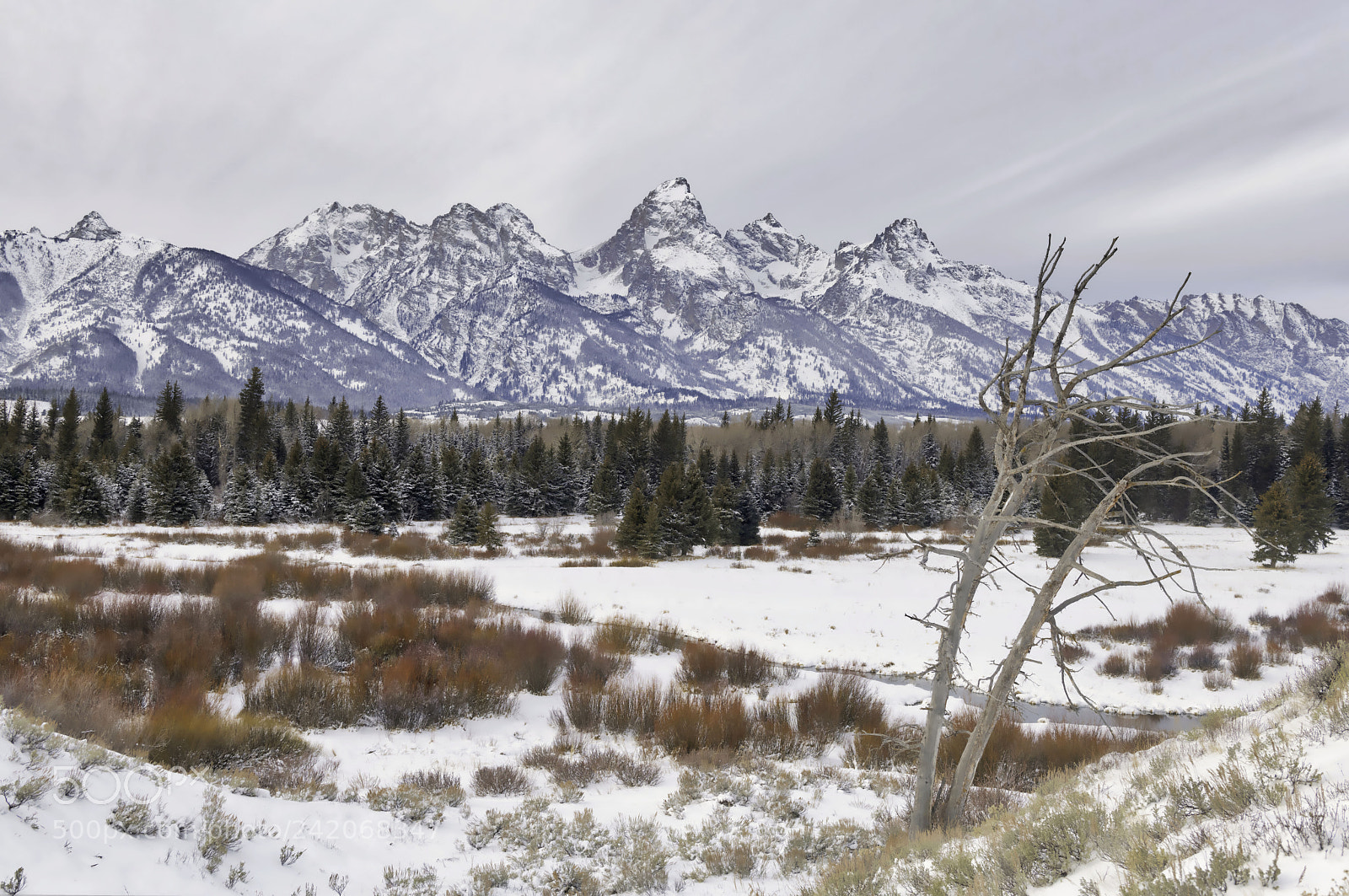 Nikon D850 sample photo. Beginnings of winter photography