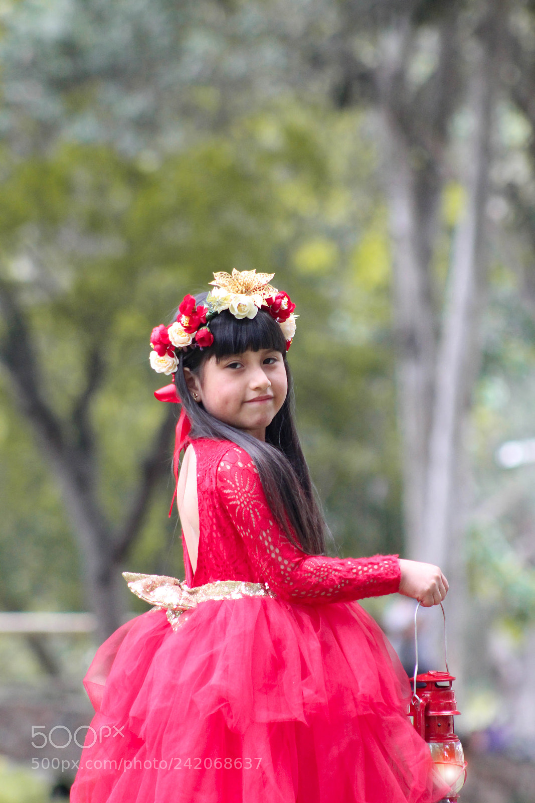 Canon EOS 1200D (EOS Rebel T5 / EOS Kiss X70 / EOS Hi) sample photo. Princesa en navidad photography