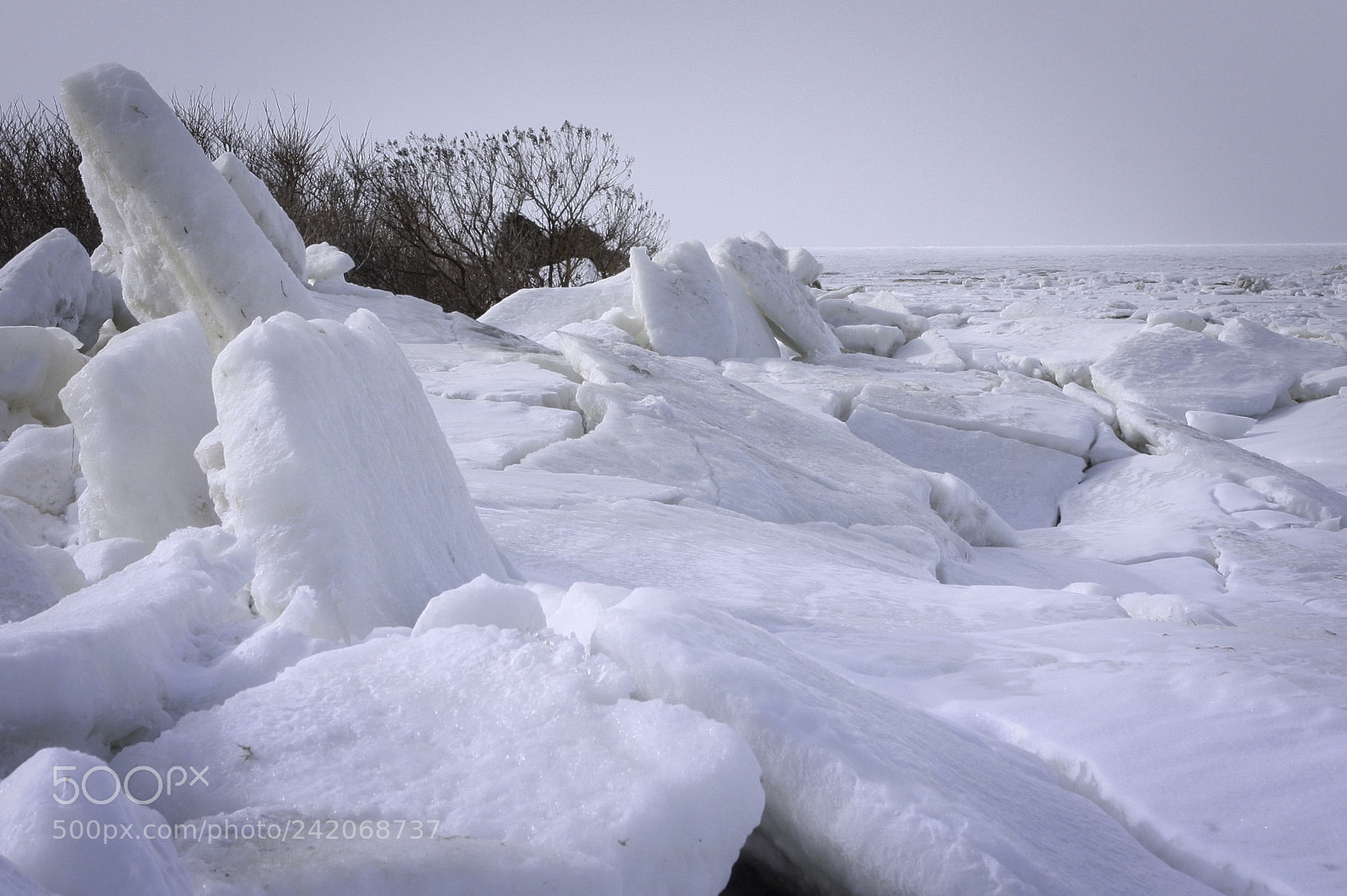 Canon EOS 40D sample photo. Ice photography