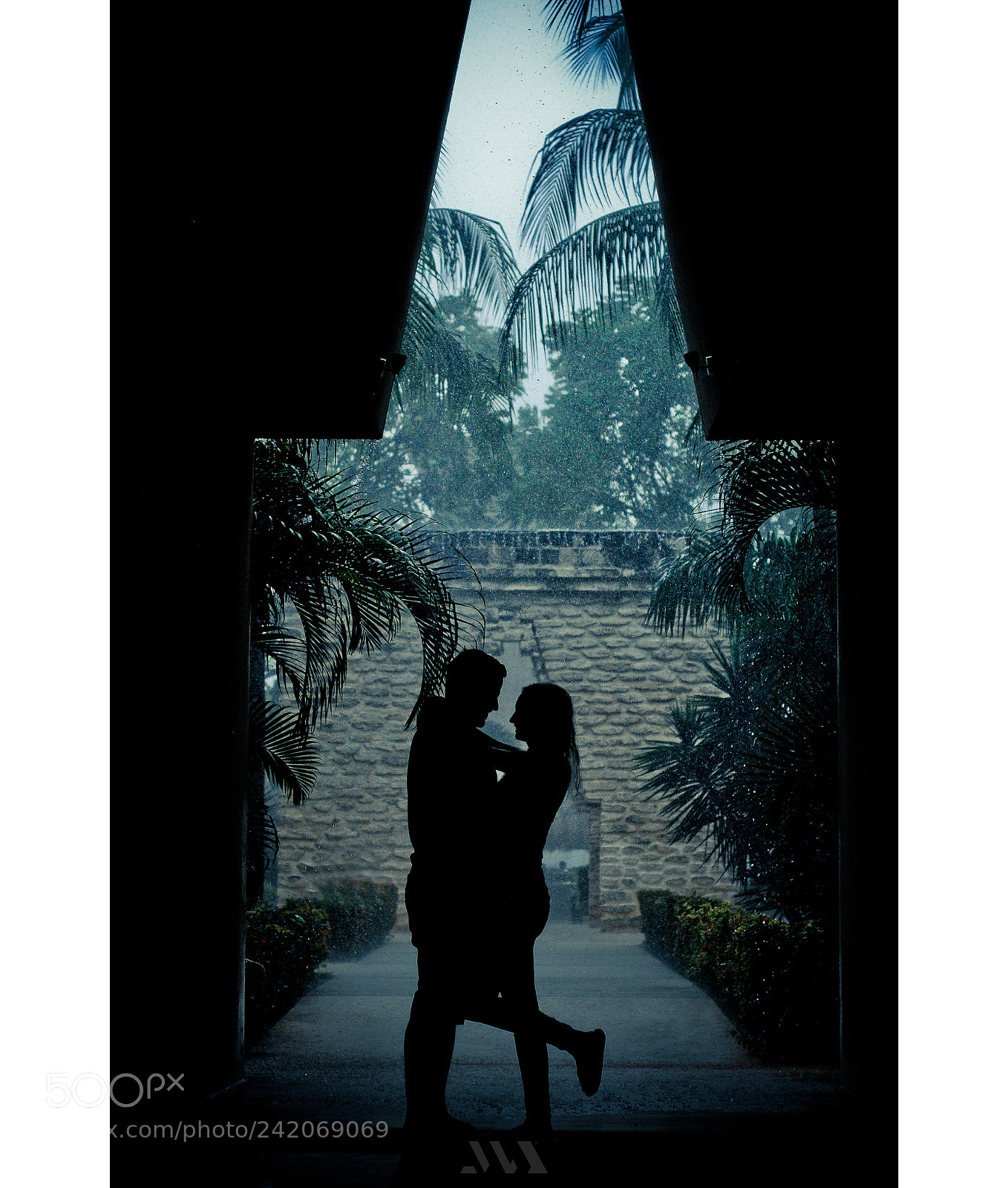 Nikon D300 sample photo. In the rain photography