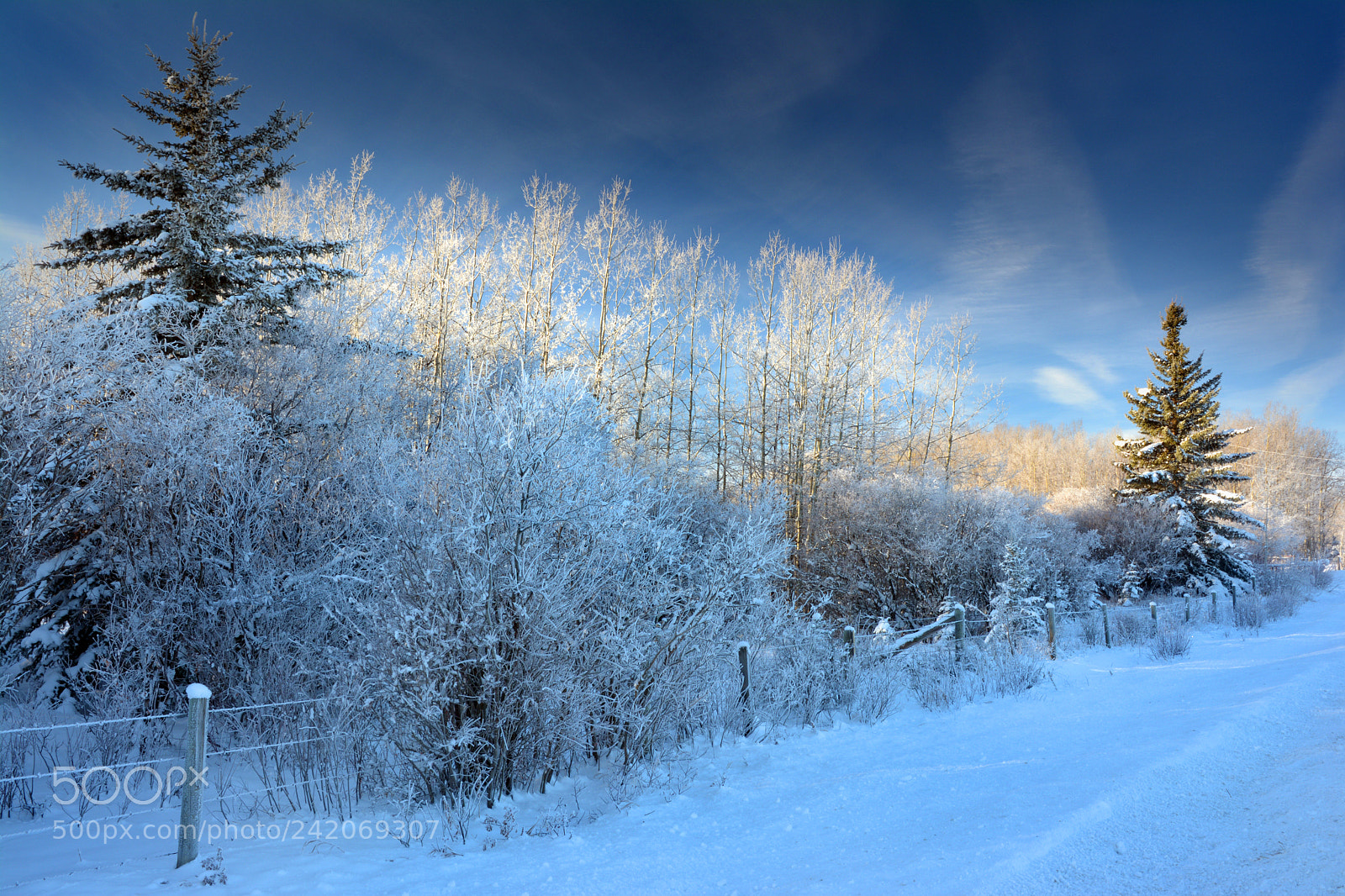 Nikon D7100 sample photo. Winter shadow & light photography