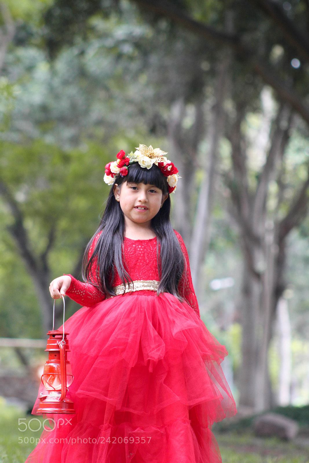Canon EOS 1200D (EOS Rebel T5 / EOS Kiss X70 / EOS Hi) sample photo. Princesa en navidad photography