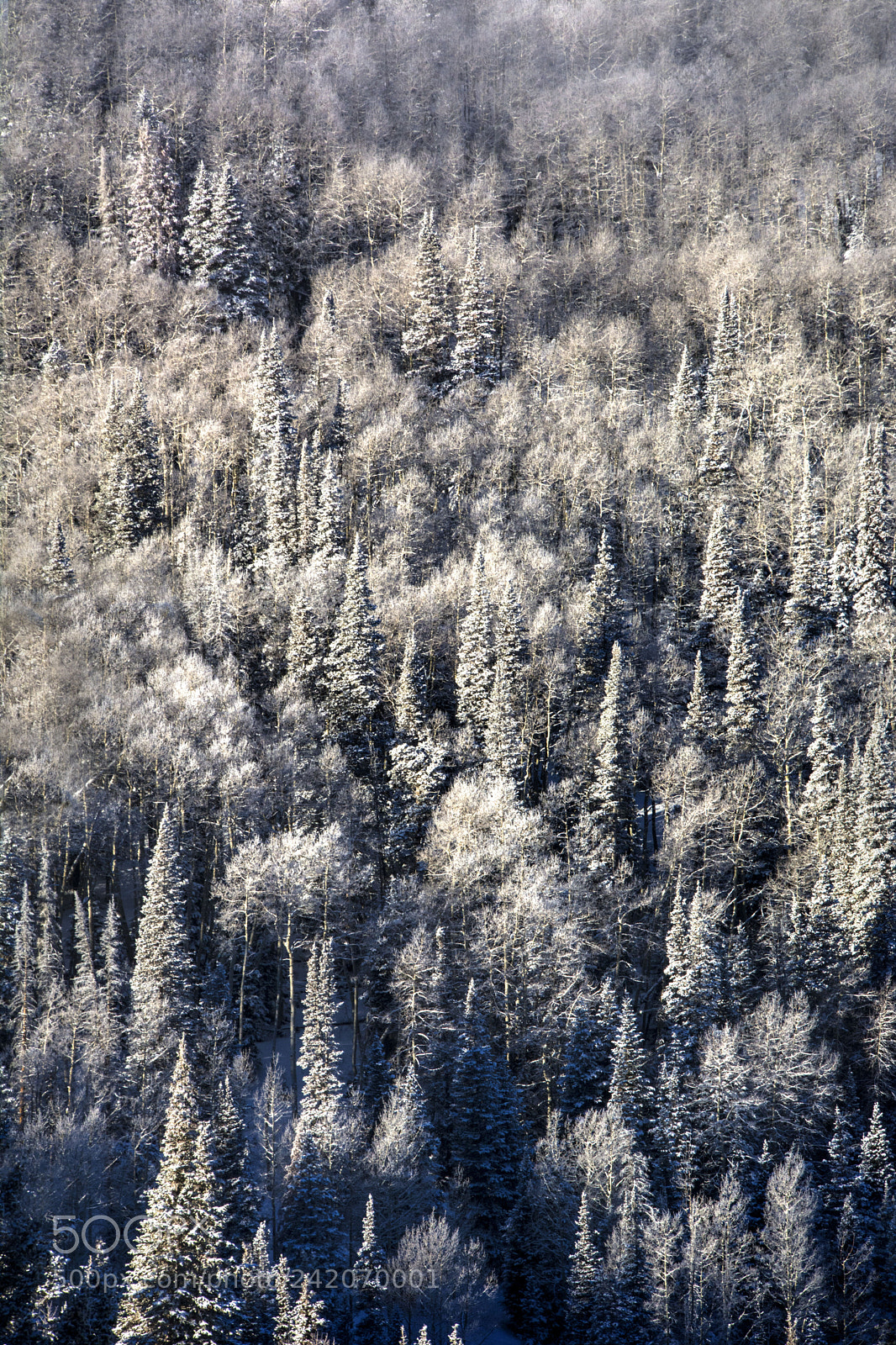 Nikon D7100 sample photo. New storm photography