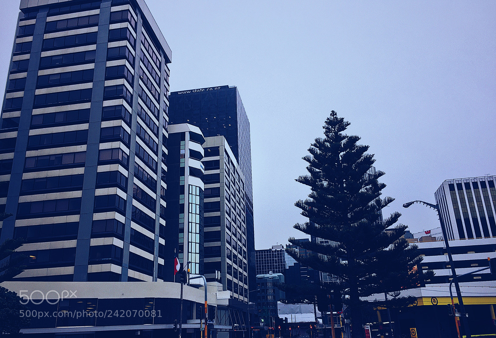 Apple iPhone 6 sample photo. Untitled photography