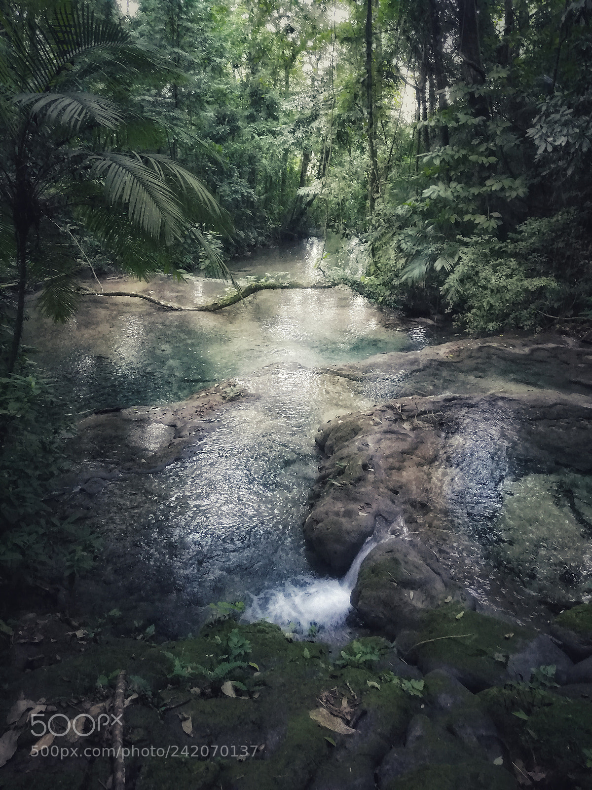 HUAWEI Mate 8 sample photo. Untitled photography