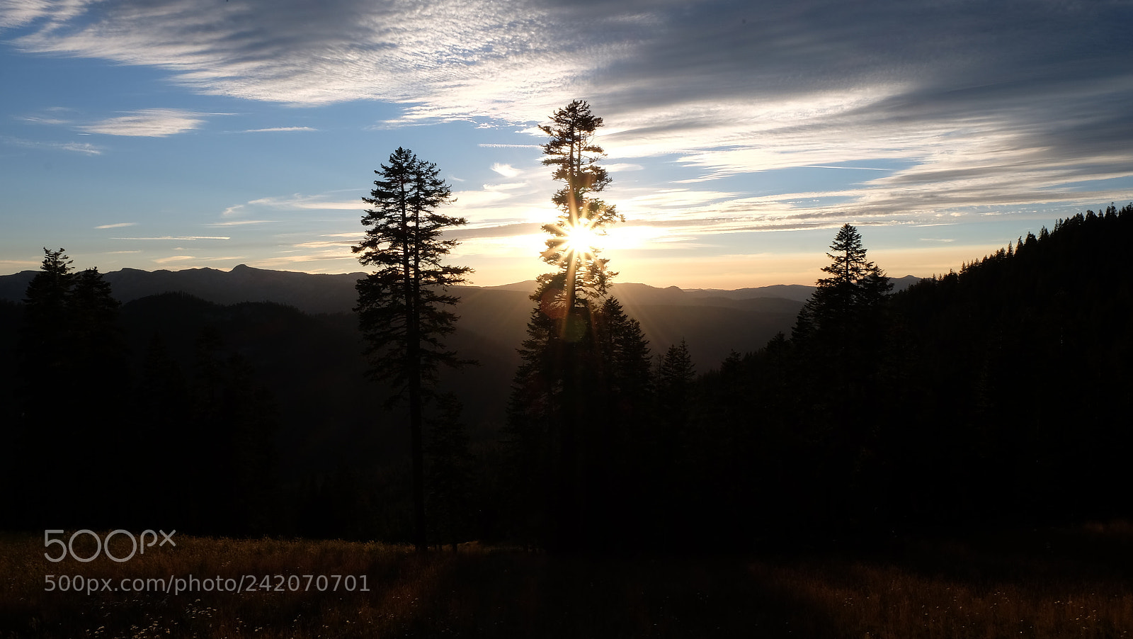 Fujifilm X-T1 sample photo. Wedding murray tahoe aug () photography