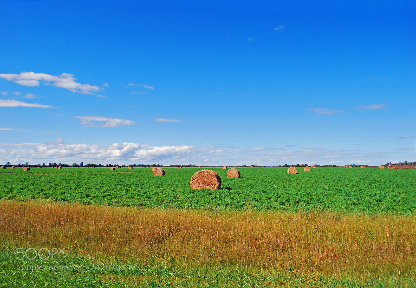 Nikon D60 sample photo. Winnipeg farm photography