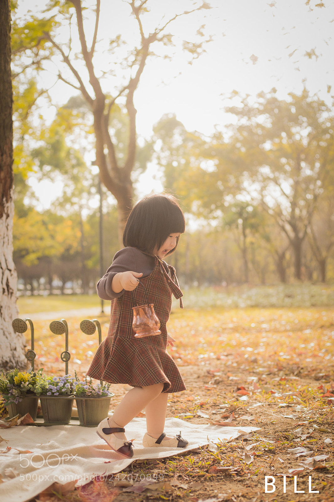Canon EOS 6D Mark II sample photo. Img photography