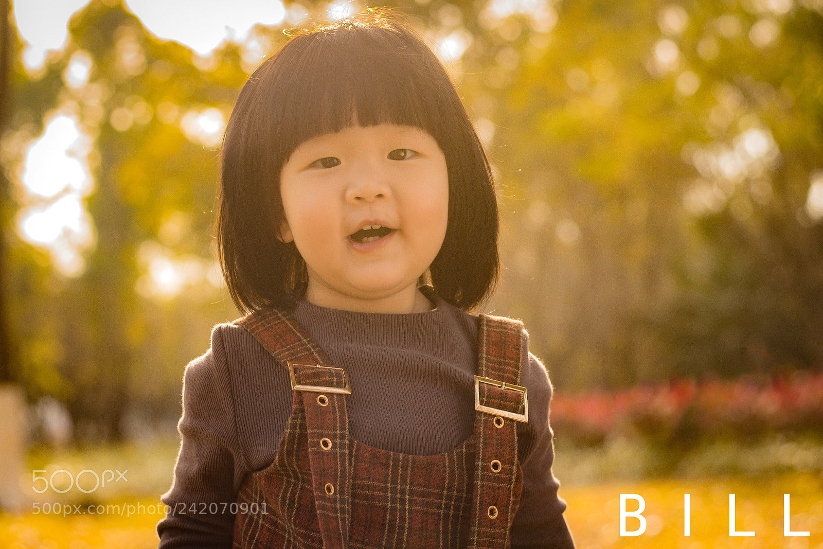 Canon EOS 6D Mark II sample photo. Img photography