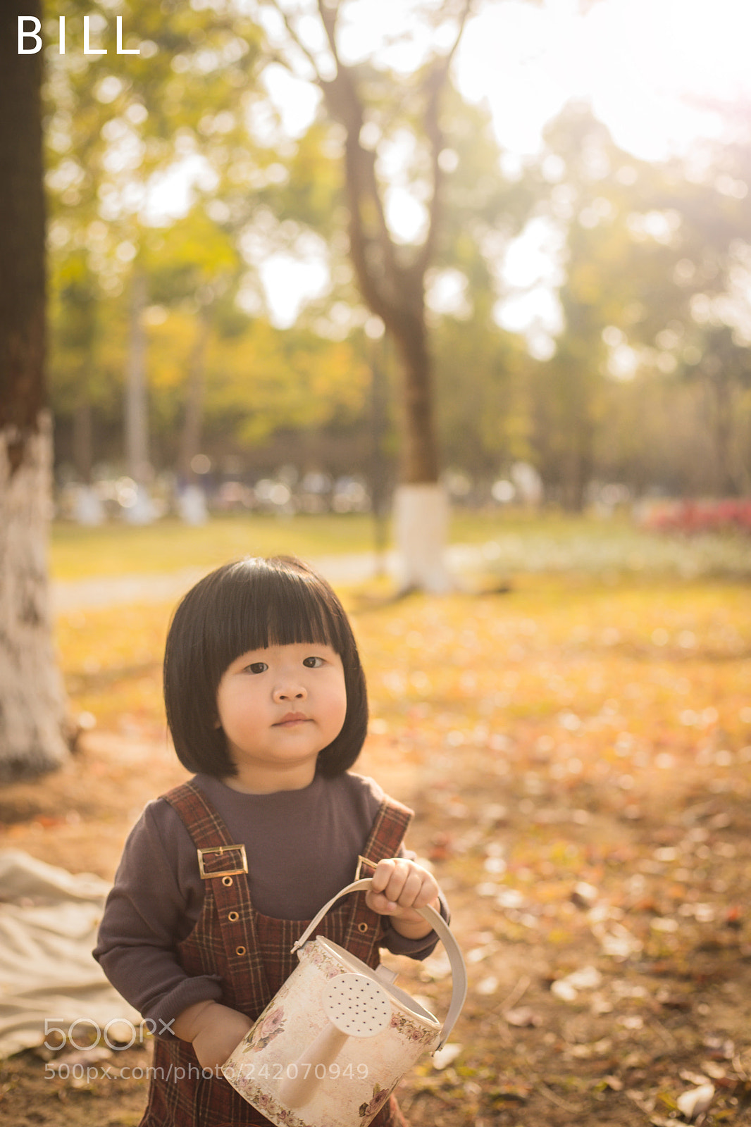 Canon EOS 6D Mark II sample photo. Img photography
