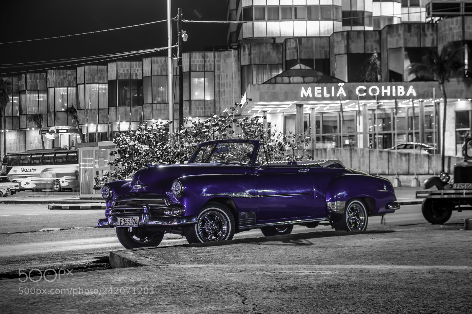 Canon EOS 750D (EOS Rebel T6i / EOS Kiss X8i) sample photo. Purple classic photography