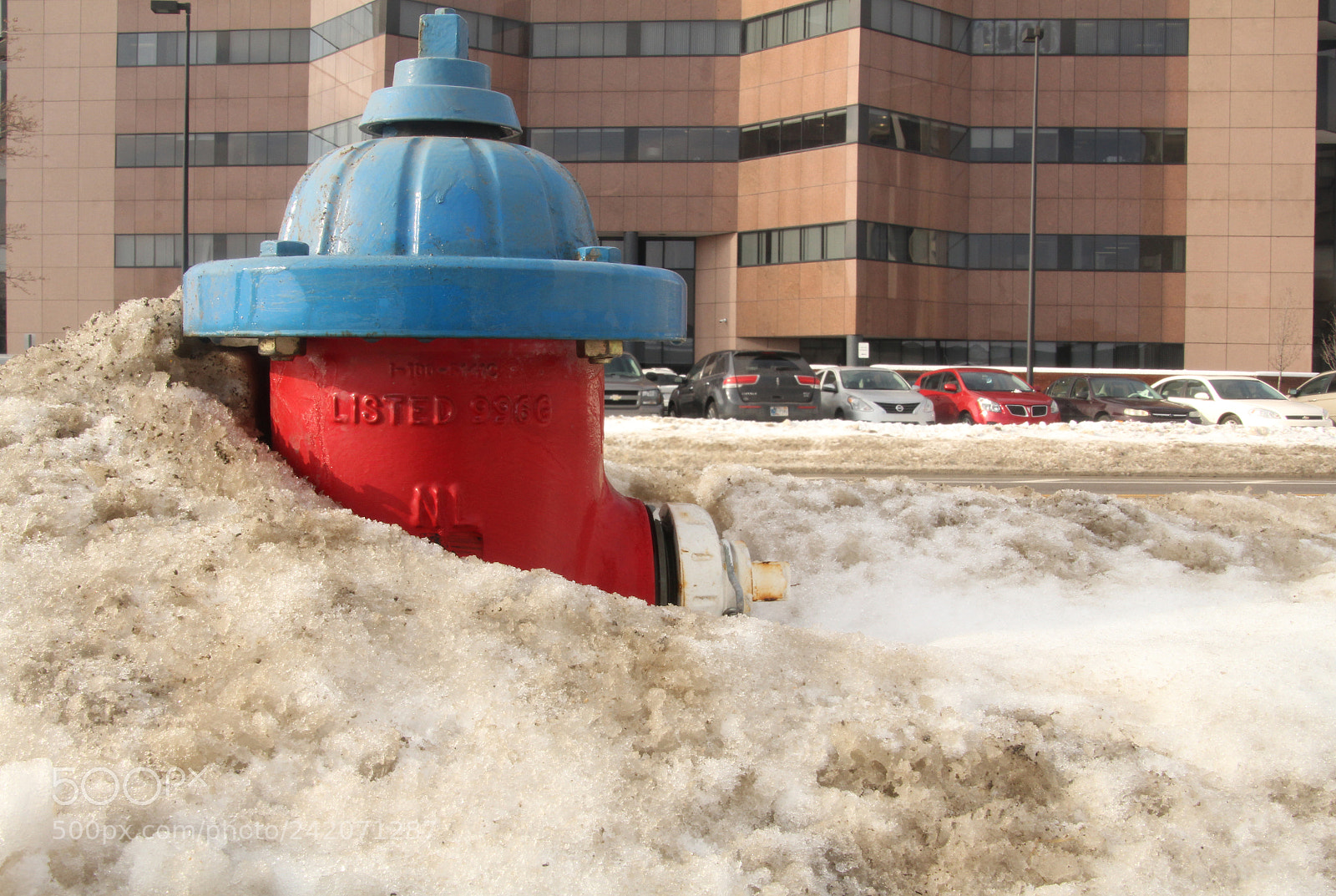Canon EOS 1200D (EOS Rebel T5 / EOS Kiss X70 / EOS Hi) sample photo. Fire hydrant and snow photography