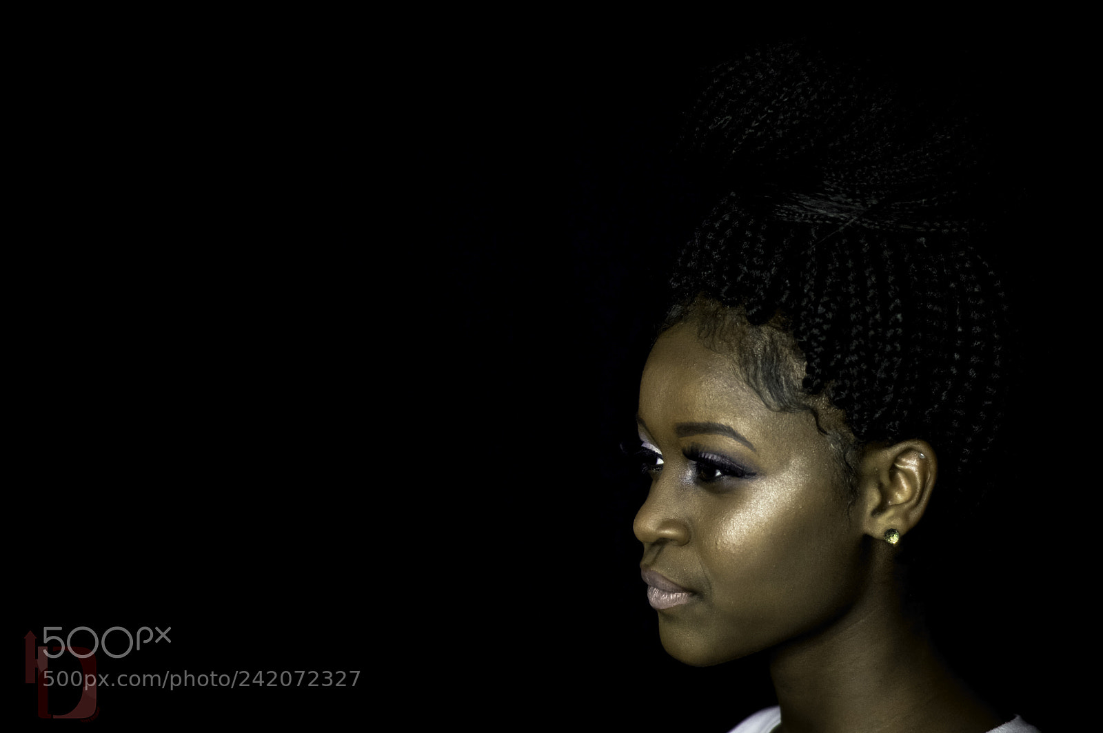 Nikon D3200 sample photo. Young queen photography