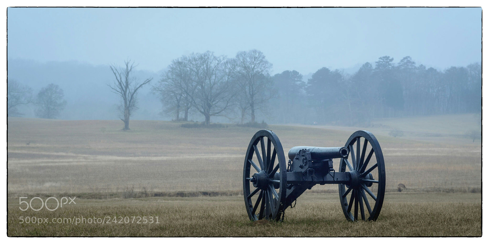 Nikon D7100 sample photo. Morning fog in chickamauga photography