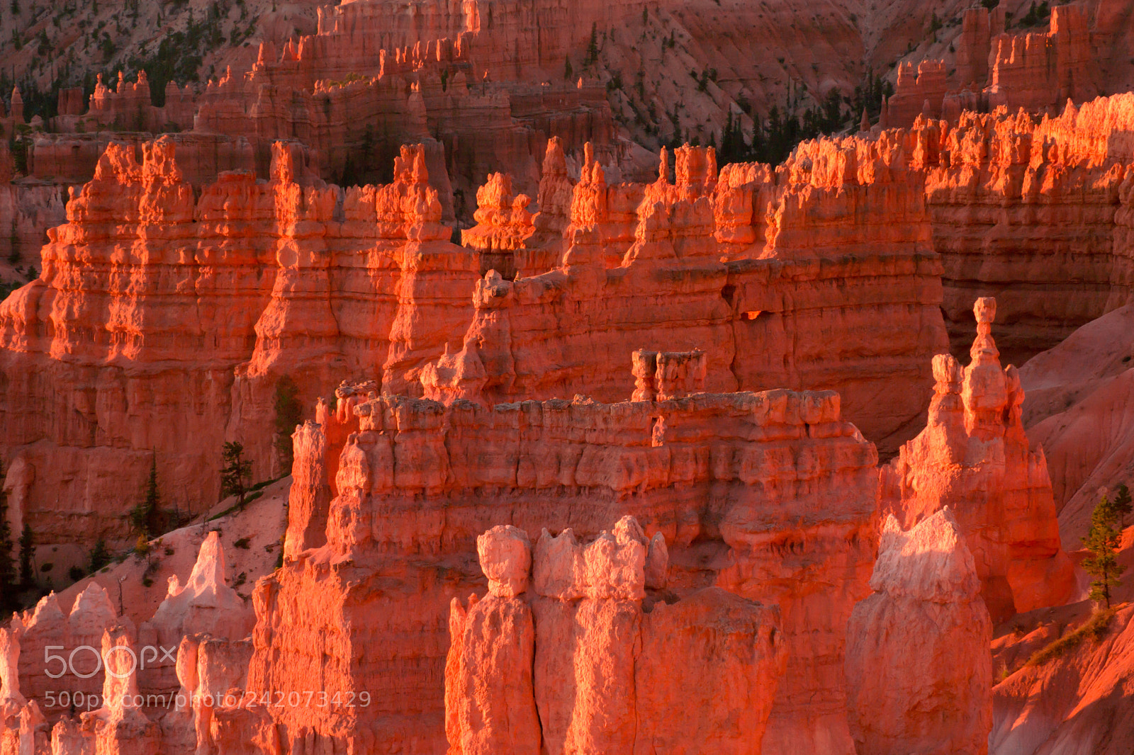 Sony SLT-A65 (SLT-A65V) sample photo. Bryce canyon photography
