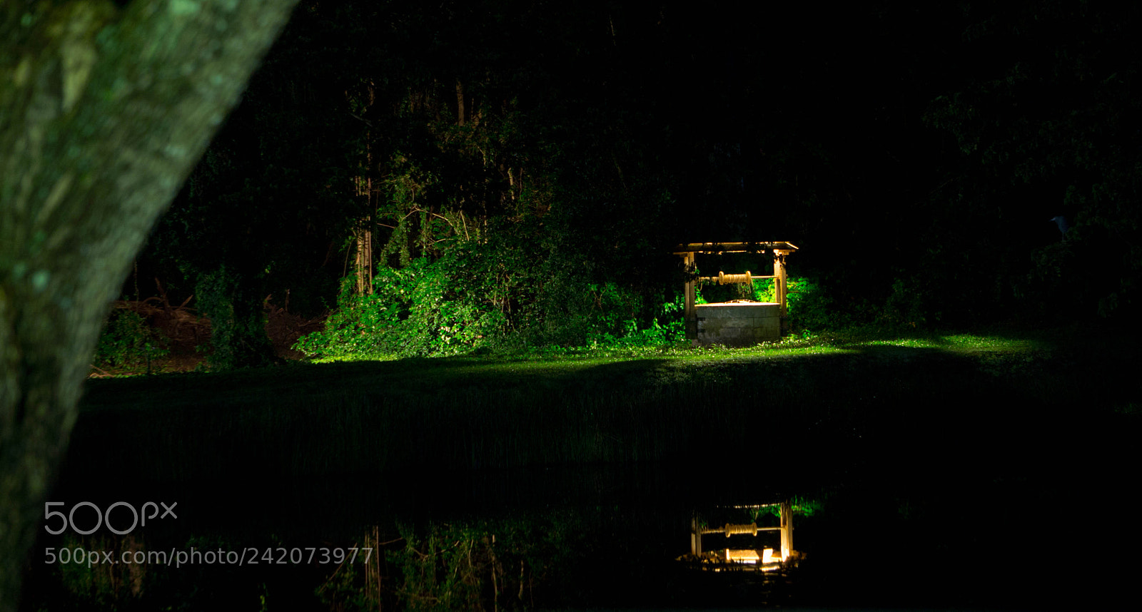 Sony Alpha NEX-7 sample photo. The ring photography