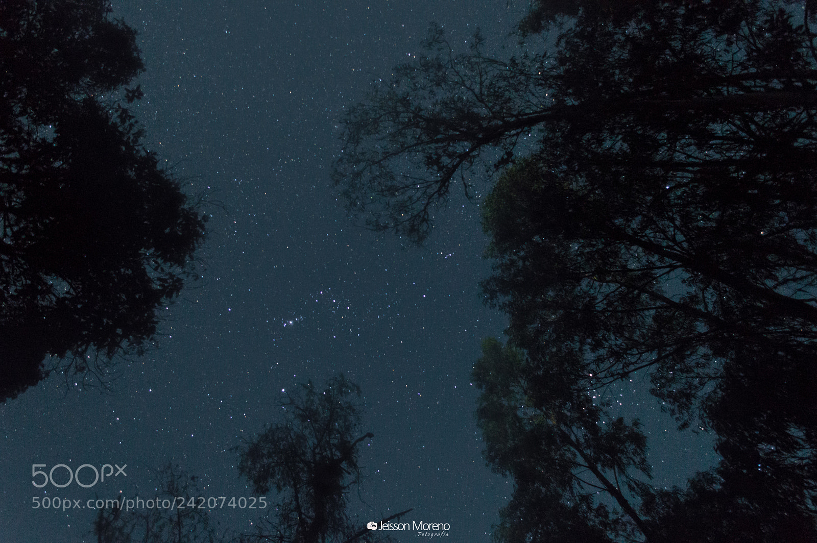 Nikon D3200 sample photo. Noches de junín photography