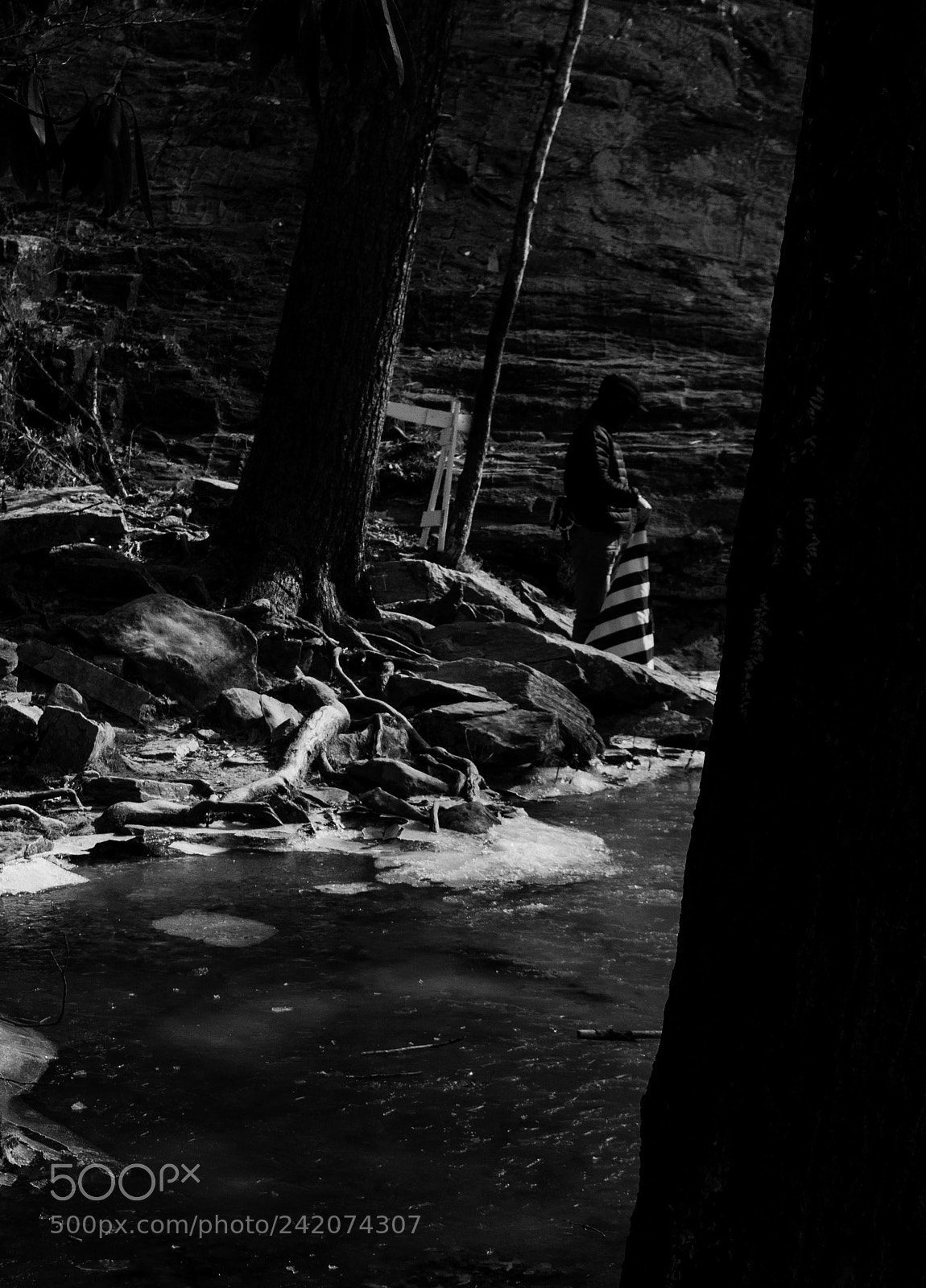 Nikon D5000 sample photo. Man with the flag photography