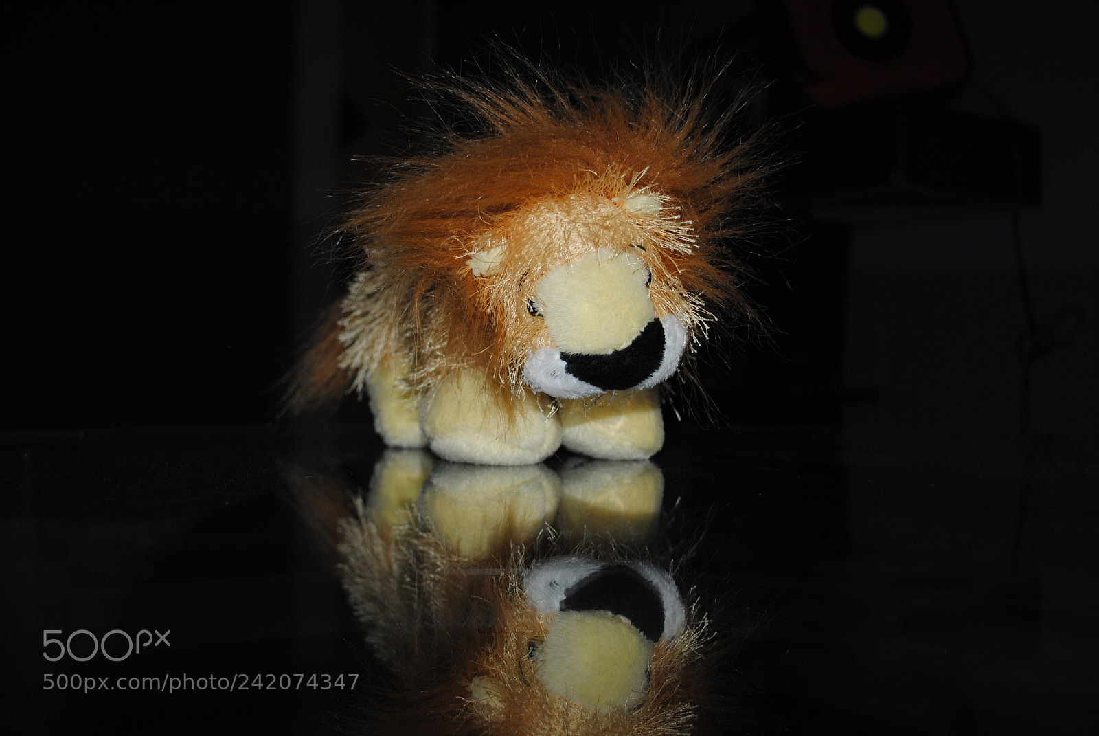 Nikon D3000 sample photo. Lion photography