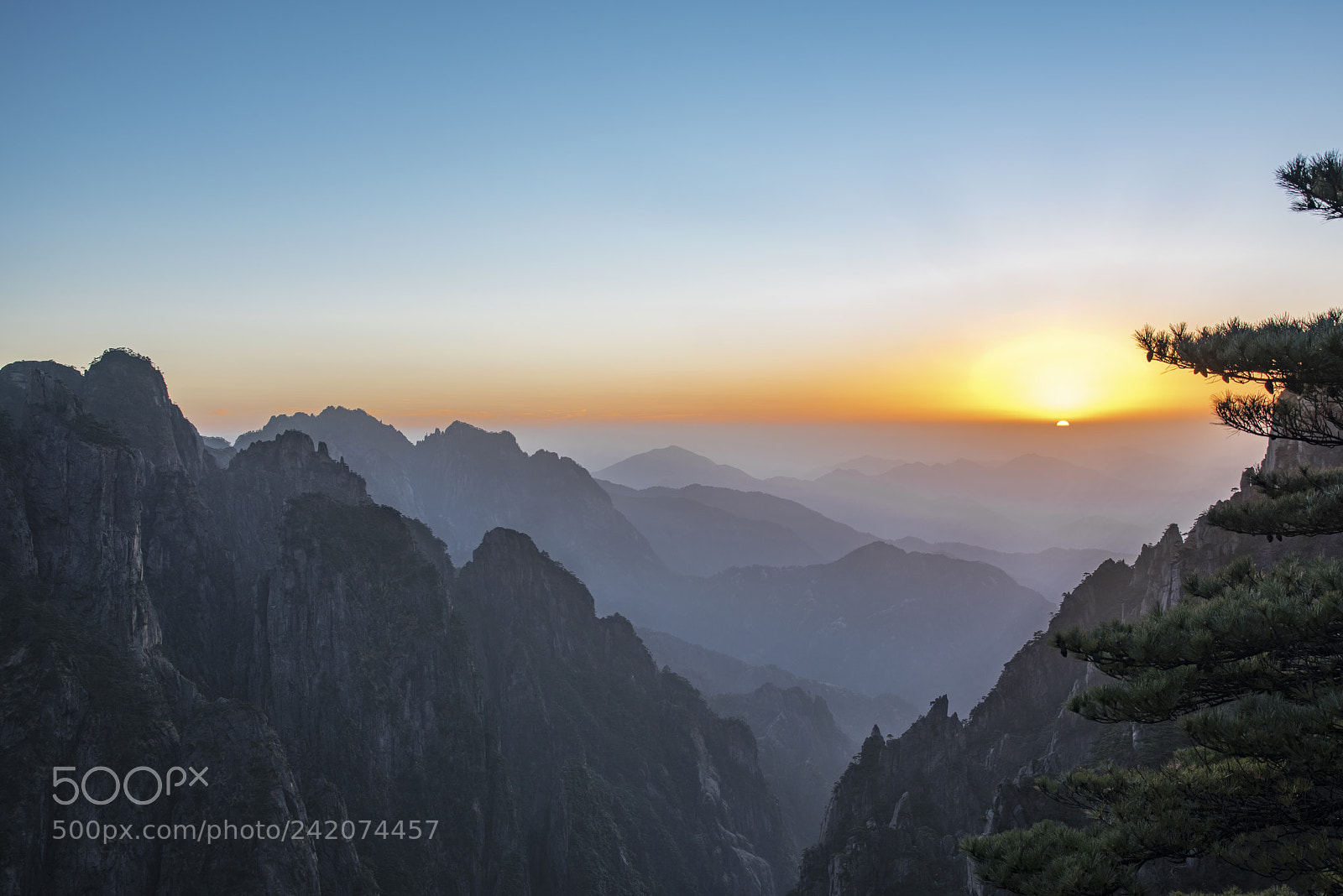 Nikon D810 sample photo. Sunset&fog photography