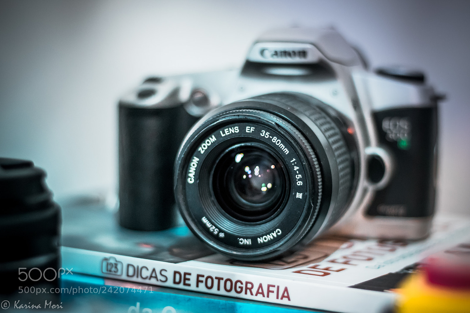 Canon EOS 750D (EOS Rebel T6i / EOS Kiss X8i) sample photo. Hobby photography