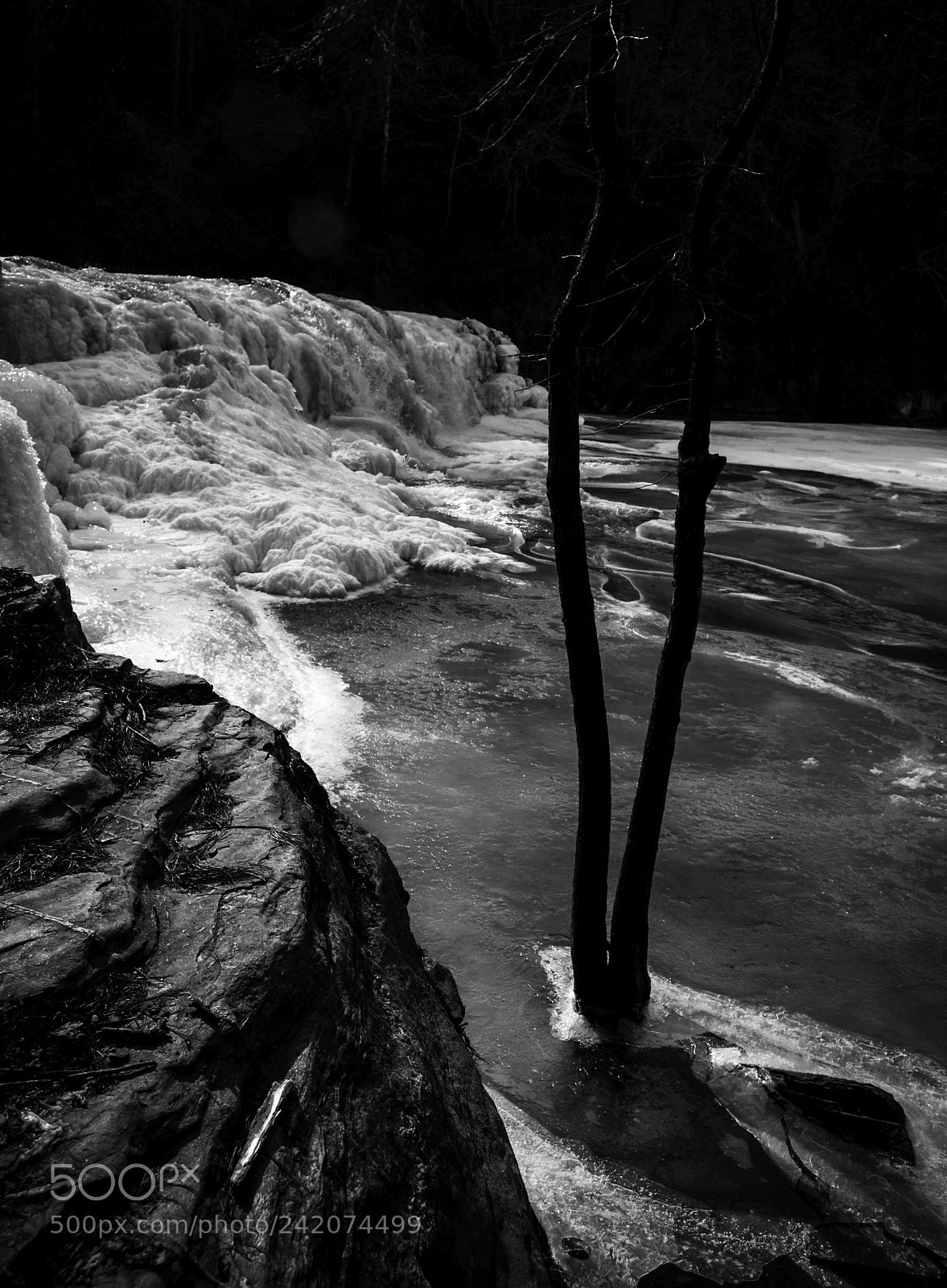 Nikon D5000 sample photo. Slippery slope photography